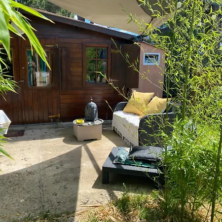 Des Oliviers 10mn Cv Dans Propriete בזייה